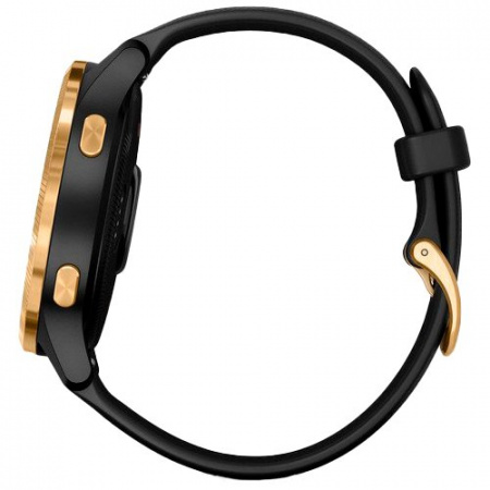 Часы для спорта Garmin Venu Gold Black