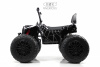 Детский электроквадроцикл A111AA 4WD Черный Spider