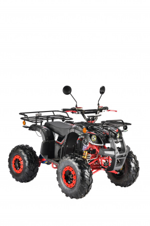 Электроквадроцикл White Siberia PRO SNEG 3000W Черный