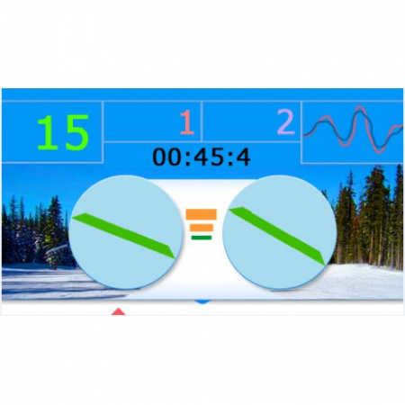 Горнолыжный тренажер Pro ski Simulator Professional
