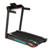 Беговая дорожка Evo Fitness Genesis