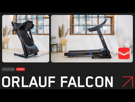 Беговая дорожка Orlauf Falcon M