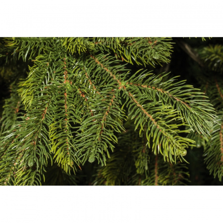 Ель искусственная National Tree Company Таёжная 210 см