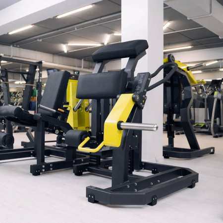 Сгибание ног стоя(Leg Curl) D955