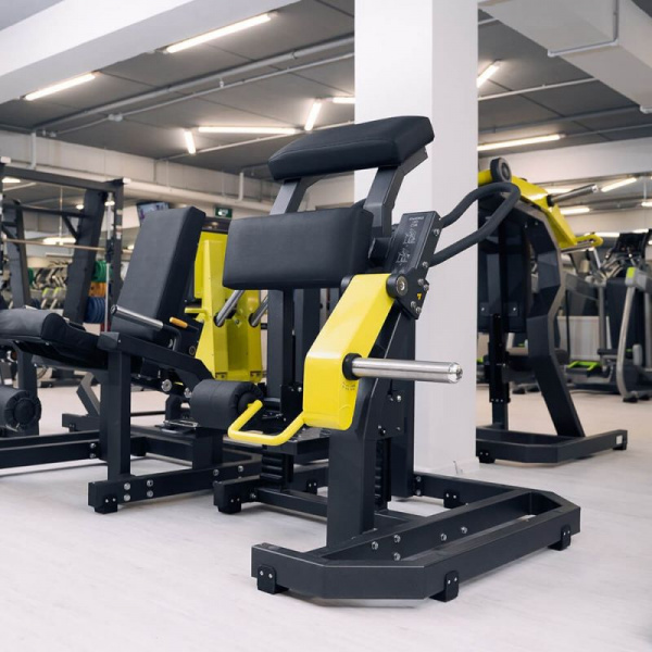 Сгибание ног стоя(Leg Curl) D955