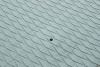 Доска Sup/wind надувная Fanatic Fly Air Premium 10'4"x33" (13200-1132) 22