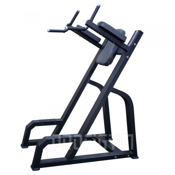 Брусья ProfiGym