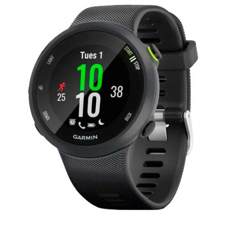 Часы для спорта Garmin Forerunner 45 Black