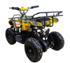 Электроквадроцикл ATV Classic 800W