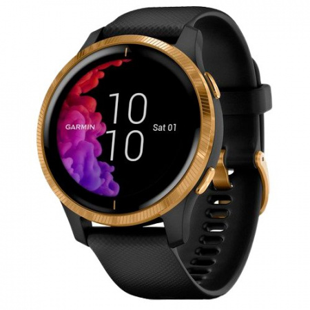 Часы для спорта Garmin Venu Gold Black