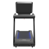 Беговая дорожка CardioPower Pro CT420