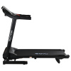 Беговая дорожка Evo Fitness Vector