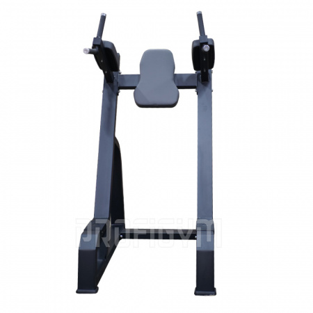 Брусья ProfiGym