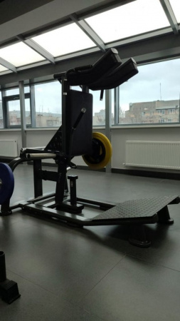 Гакк машина Fitex FTX-6913