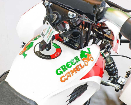Электроквадроцикл GreenCamel Гоби K12