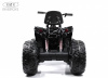 Детский электроквадроцикл A111AA 4WD Черный Spider
