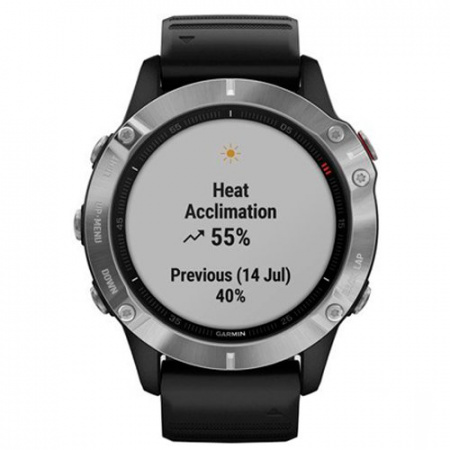 Часы для спорта Garmin Fenix 6 Silver