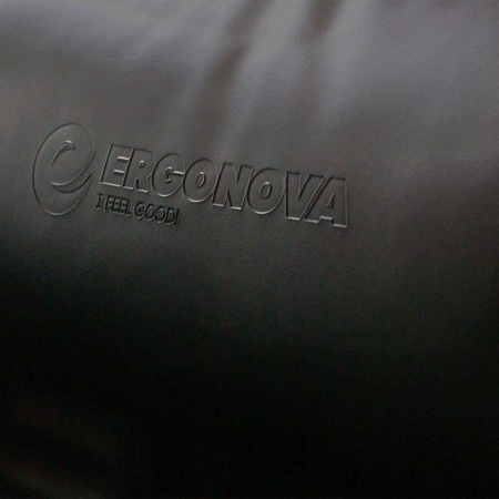 Массажное кресло Ergonova Organic Mini