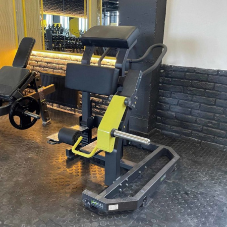 Сгибание ног стоя(Leg Curl) D955