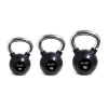 Гиря обрезиненная с хромированной рукояткой, AeroFit, 28 кг AFBK28