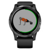 Часы для спорта Garmin Vivoactive 4 Slate Black