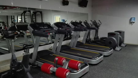 Беговая дорожка AeroFit Professional X4-T LED