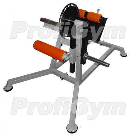 ТД-0250-D «Маятник» пресса и спины ProfiGym