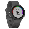 Часы для спорта Garmin Forerunner 245 Slate Gray