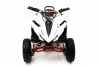 Электроквадроцикл ATV ATEA 500A (бело-красный)