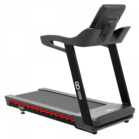 Беговая дорожка CardioPower Pro CT250
