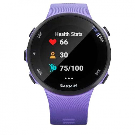 Часы для спорта Garmin Forerunner 45S Iris