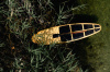Деревянный Sup Zabava 7′11" X 25.7" Mitrich Boats&boards