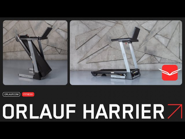Беговая дорожка Orlauf Harrier
