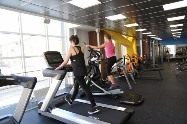 Беговая дорожка AeroFit Professional X6-T 18,5"LCD