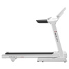 Беговая дорожка Ammity Fashion FTM 5120 W