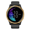 Часы для спорта Garmin Venu Gold Black