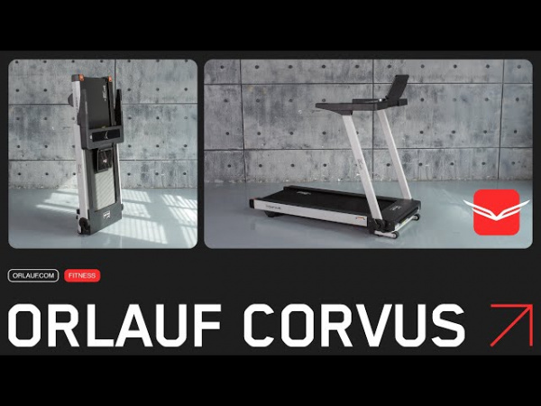 Беговая дорожка Orlauf Corvus