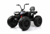 Детский электроквадроцикл A111AA 4WD Черный Spider