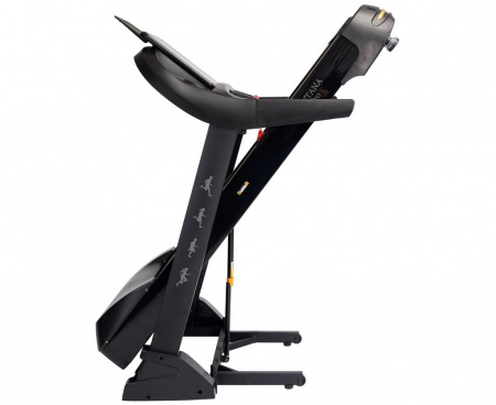 Беговая дорожка DFC SANTANA Pro T757