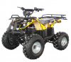 Электроквадроцикл GreenCamel Атакама T400 (60V 1500W R8 Дифференциал)