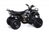 Квадроцикл Motax ATV Mini Grizlik X-16 (э/с) Черный