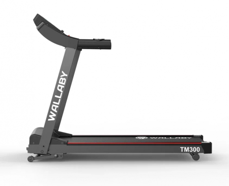 Беговая дорожка Wallaby TM300