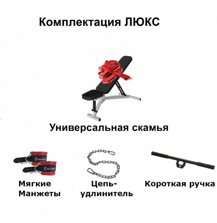 Тренажер Iron King IK 09 (KINEO) 09 Профи, стек 60 кг
