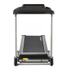 Беговая дорожка Evo Fitness Stels