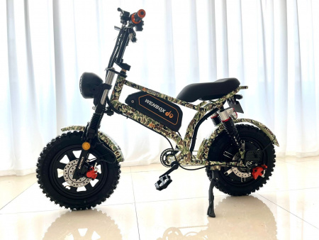 Электровелосипед Wenbox WBX-F9