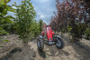 Веломобиль Berg Case-IH BFR 3