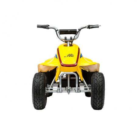 Электроквадроцикл ATEA 500И