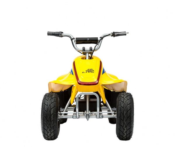 Электроквадроцикл ATEA 500И