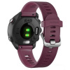Часы для спорта Garmin Forerunner 245 Berry
