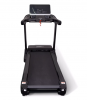Электрическая беговая дорожка Everyfit FFT03A